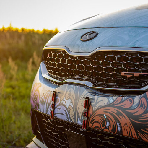 fahrzeugfotografie_die_motorhaube eines_rosa_und_weissen_kia_proceed_im_hintergrund_eine_gruene_wiese
