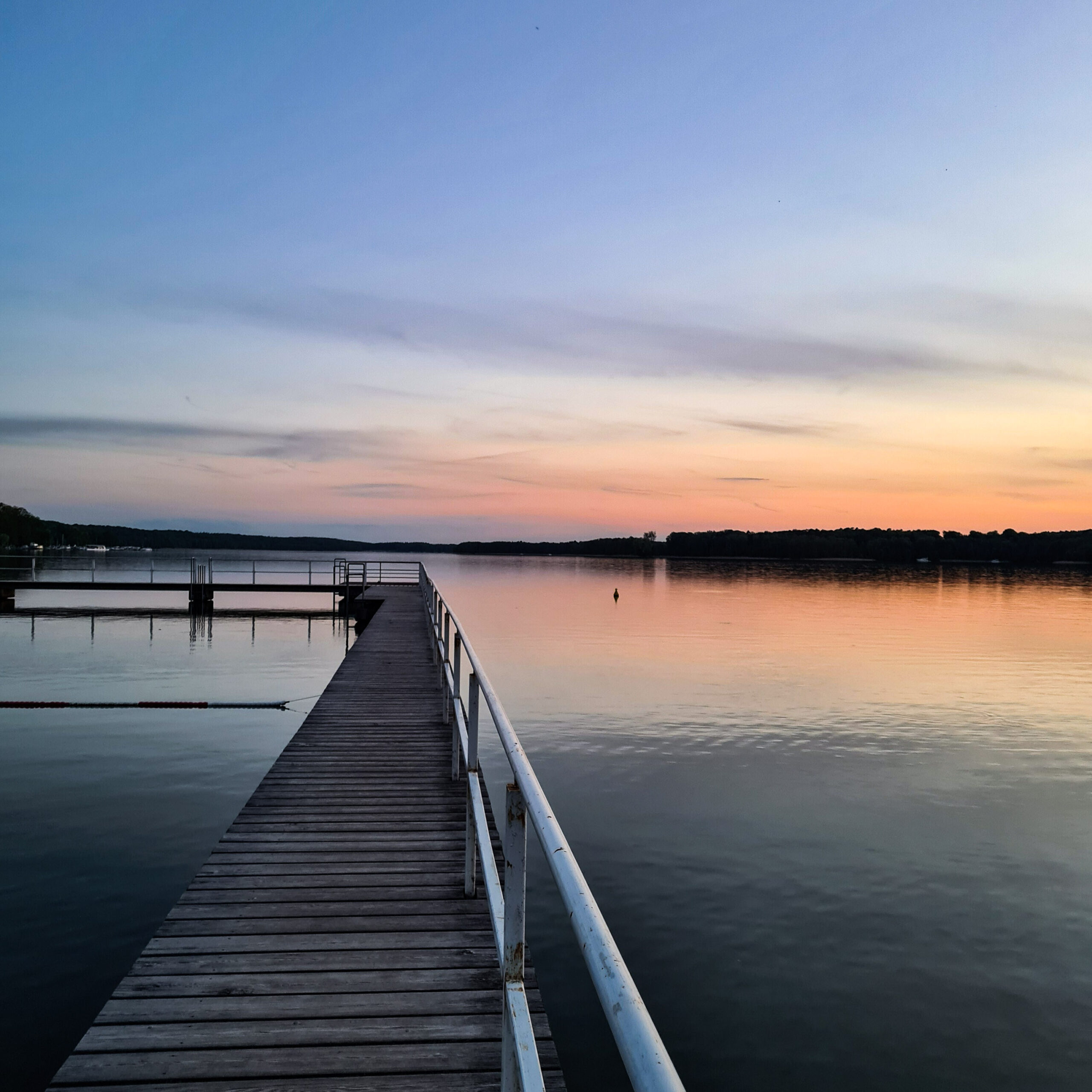 Naturfotografie_Steg_am_Werbellinsee